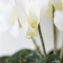 Load image into Gallery viewer, Artificial White Cyclamen in Pot 22cm

