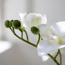 Load image into Gallery viewer, Artificial White Potted Orchid
