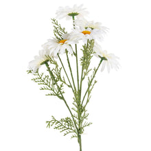 Load image into Gallery viewer, Artificial Greenery Daisy Stem 55cm - Pretty Little Duck
