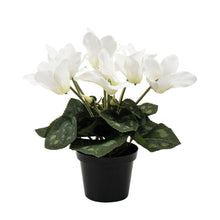 Load image into Gallery viewer, Artificial White Cyclamen Plant 22cm - Pretty Little Duck
