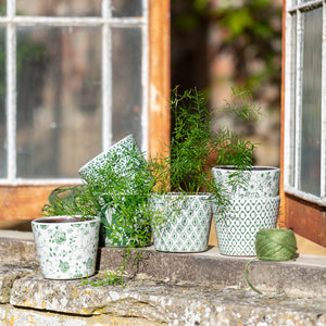 Terracotta Vintage Green Pots