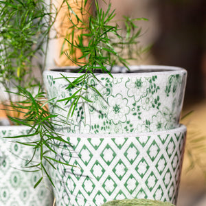 Terracotta Vintage Green Pots