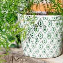 Load image into Gallery viewer, Terracotta Vintage Green Pots
