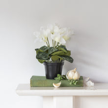 Load image into Gallery viewer, Artificial White Cyclamen in Pot 22cm
