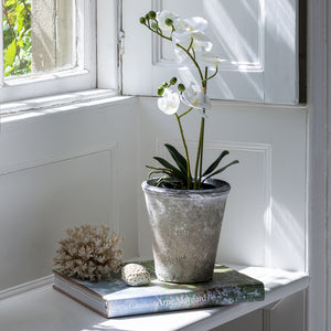 Artificial White Potted Orchid