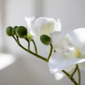 Artificial White Potted Orchid