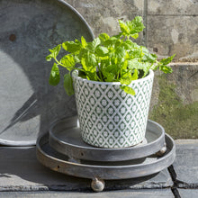 Load image into Gallery viewer, Terracotta Vintage Green Pots
