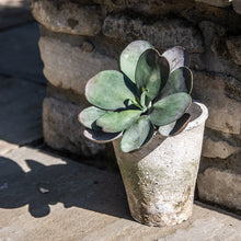 Load image into Gallery viewer, Terracotta Antiqued Whitestone Rose Pot - 13 x 14cm - Pretty Little Duck
