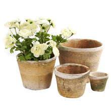 Load image into Gallery viewer, Terracotta Cactus Pot Antiqued Whitestone - 13 x 10cm - Pretty Little Duck
