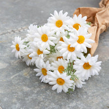 Load image into Gallery viewer, Artificial Greenery Daisy Stem 55cm - Pretty Little Duck

