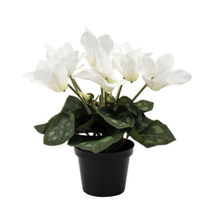 Artificial White Cyclamen Plant 22cm - Pretty Little Duck