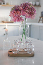 Load image into Gallery viewer, Glass Bunny Jar Set of 4 small
