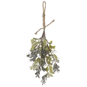 Hanging Mistletoe