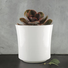 Load image into Gallery viewer, Large Round White Porcelain Planter - East of India - Pretty Little Duck
