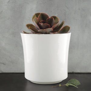 Large Round White Porcelain Planter - East of India - Pretty Little Duck