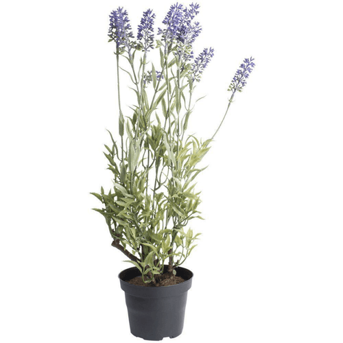 Artificial Potted Lavender - Pretty Little Duck