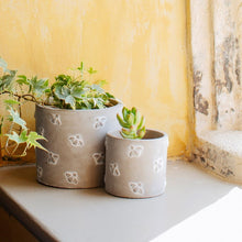 Load image into Gallery viewer, Medium Queen Bee Cement Planter - Pretty Little Duck
