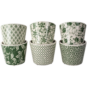 Terracotta Floral Vintage Green Pots. - Pretty Little Duck