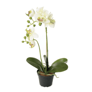 Artificial Potted Orchid - Pretty Little Duck