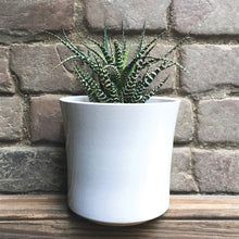 Load image into Gallery viewer, Large Round White Porcelain Planter - East of India
