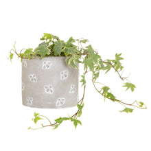 Load image into Gallery viewer, Medium Queen Bee Cement Planter - Pretty Little Duck
