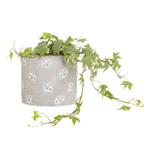 Medium Queen Bee Cement Planter - Pretty Little Duck