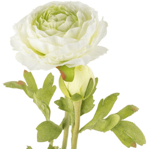 Artificial White Ranunculus Stem 39cm - Pretty Little Duck