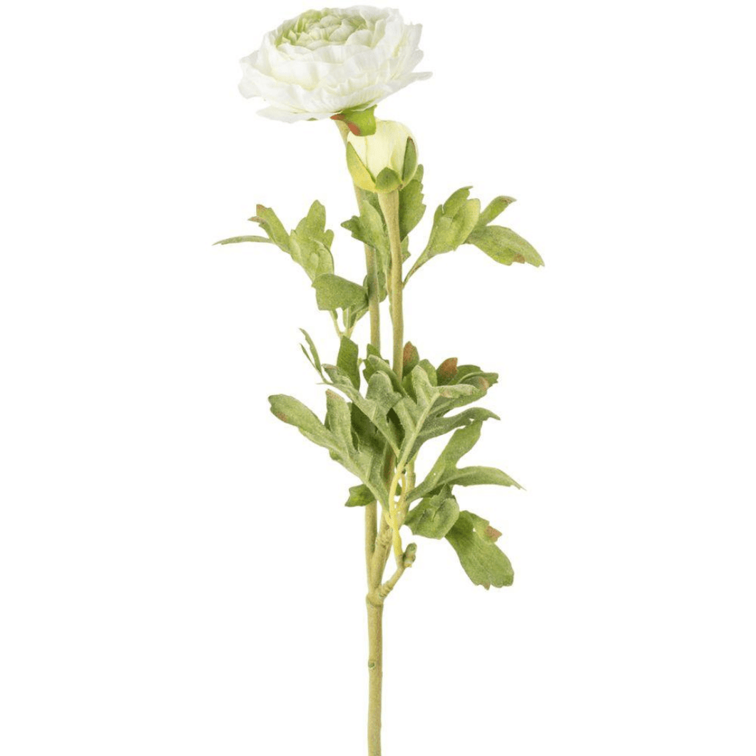 Artificial White Ranunculus Stem 39cm - Pretty Little Duck