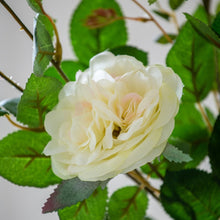 Load image into Gallery viewer, Cream Artificial Rose Spray 90cm
