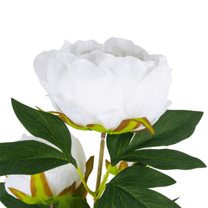 Artificial White Peony Spray 70cm - Pretty Little Duck