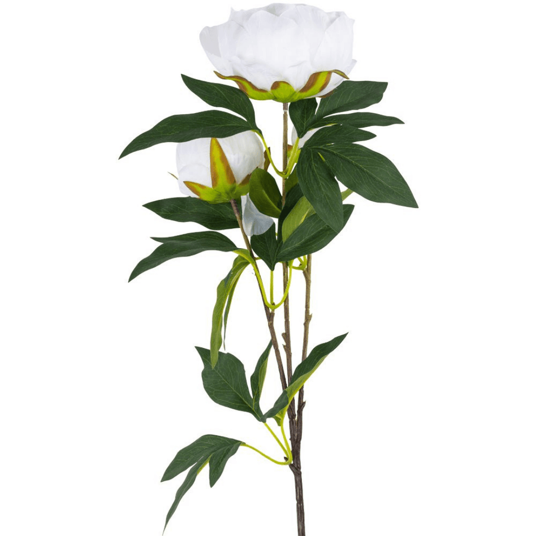 Artificial White Peony Spray 70cm - Pretty Little Duck